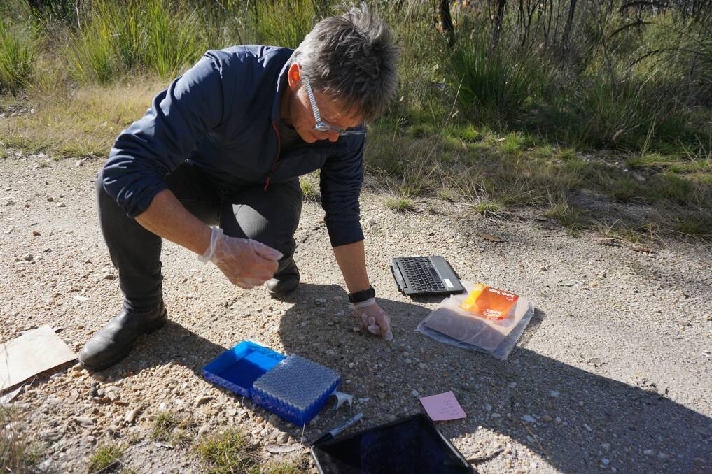 Dr Joss Bentley takes eDNA survey samples. Picture by M Sim