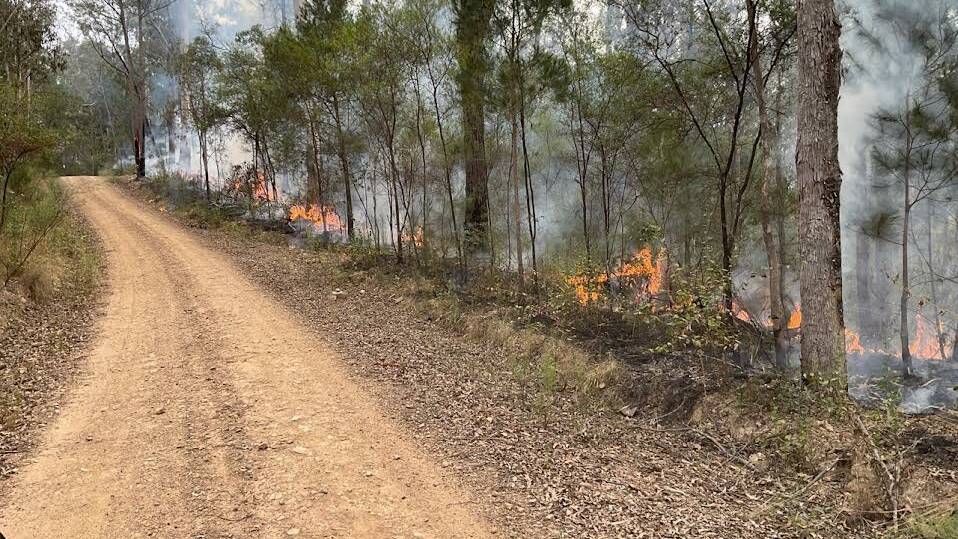Hazard reduction burn at Kings Ridge West, Mimosa Rocks National Park. Picture supplied. 