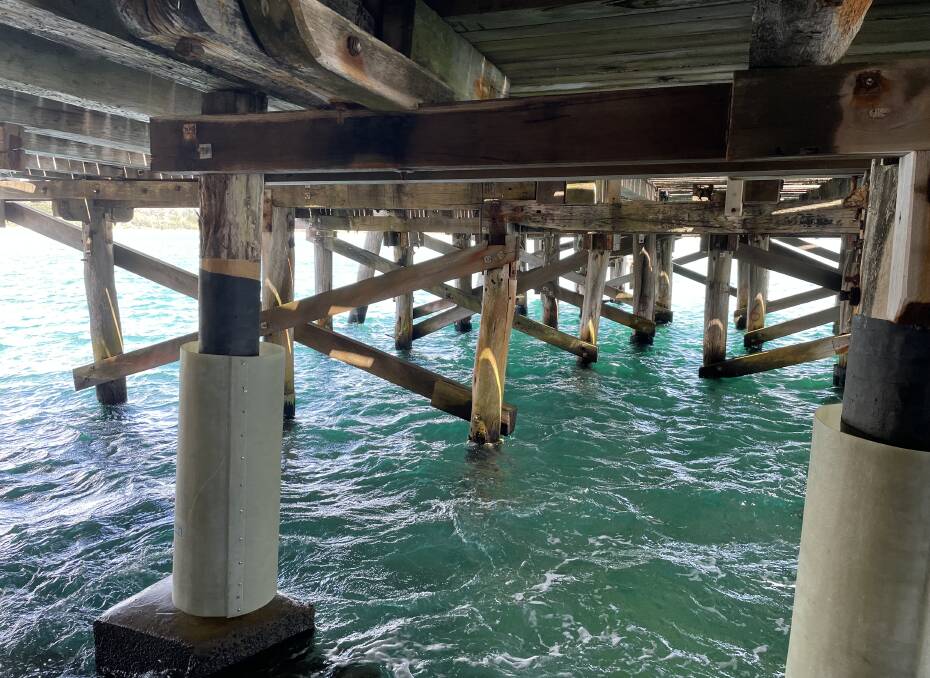 Two thirds of the current in-water piles will be replaced, 48 of the 72 current piles. Piles are wrapped to provide a barrier between them and the marine habitats that cause the piles to deteriorate. Picture by Sam Armes. 