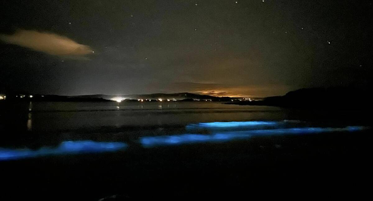 As the sun set on August 12, the shallows of North Broulee Beach lit up with bioluminescence. Picture by Mathew Hatcher