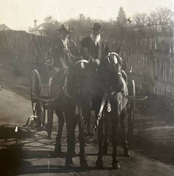 Dr Evershed on his buggy with chestnut ponies alongside driver Harry Elliott. Picture supplied by Bega Pioneer Museum