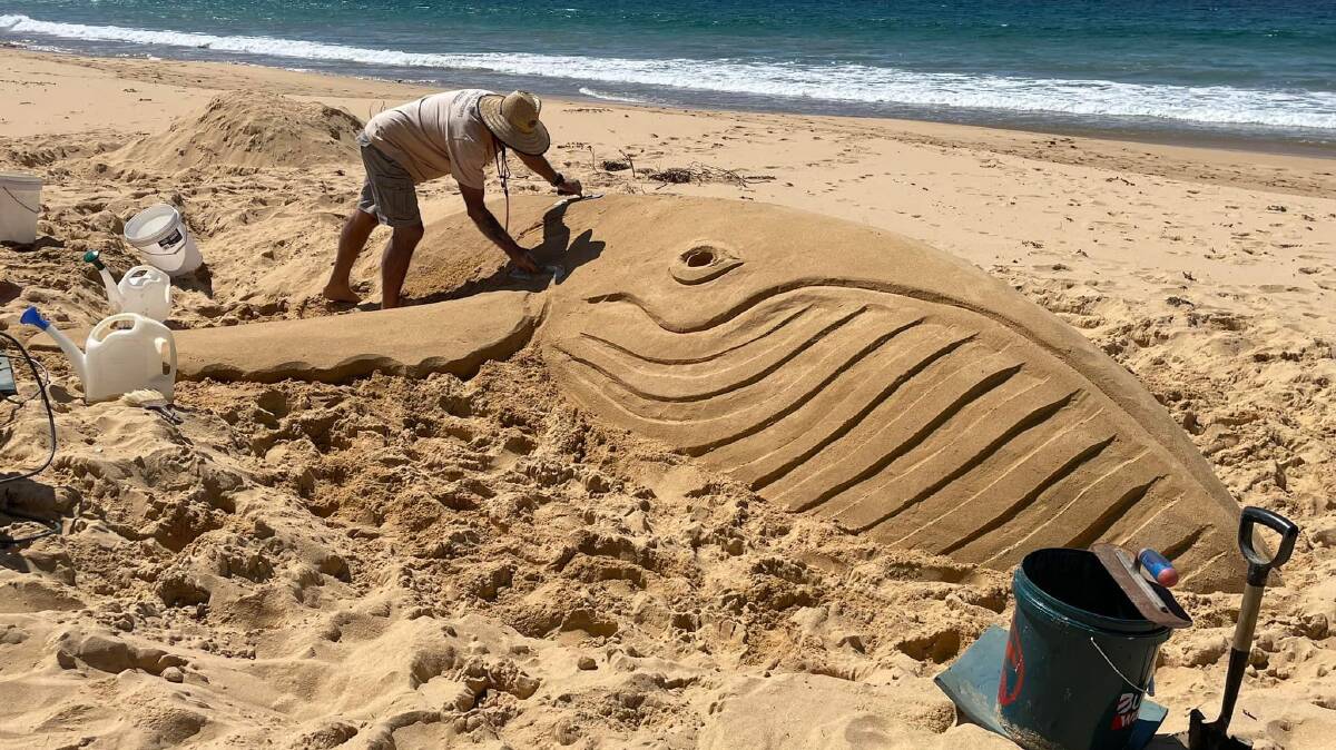 Peter Redmond carefully shapes the whale sand sculpture on Aslings Beach in Eden. Picture by Eden Whale Festival