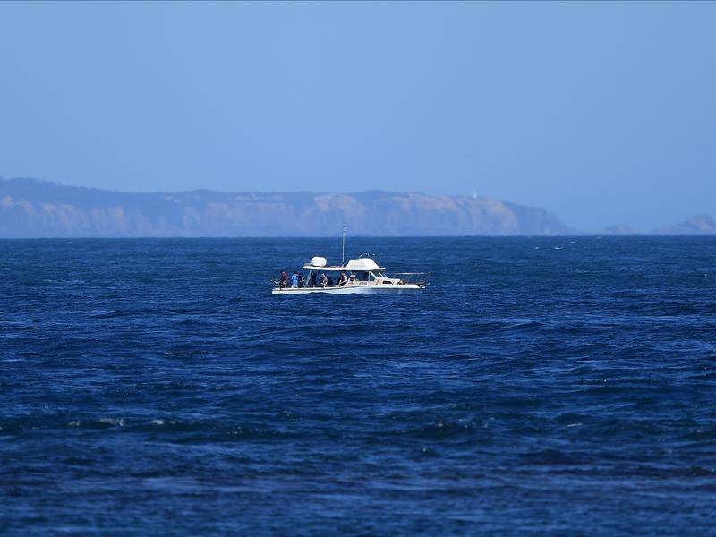 A search continues for a snorkeller who has gone missing off Victoria's Mornington Peninsula. (Julian Smith/AAP PHOTOS)