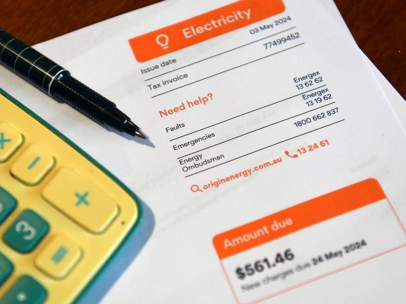 The consumer watchdog has urged energy retailers to share cost reductions. (Jono Searle/AAP PHOTOS)